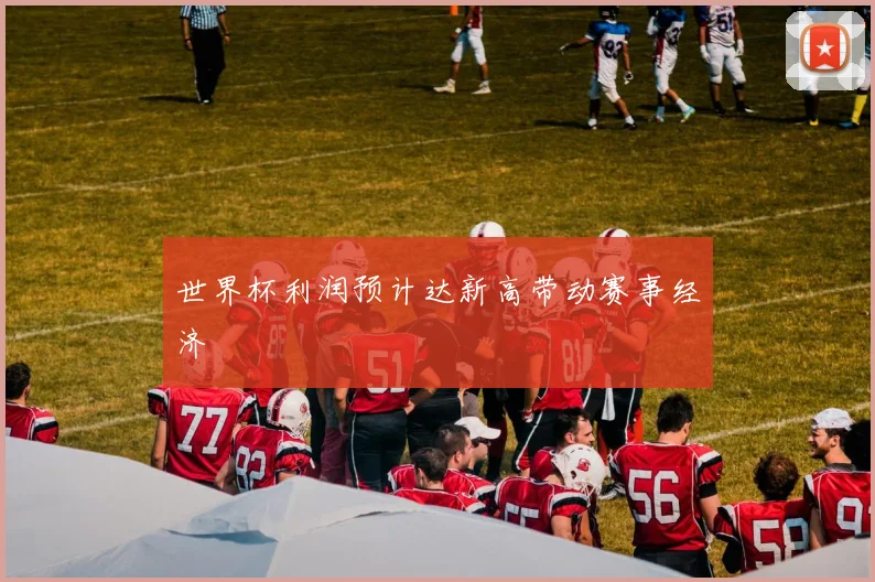 世界杯利润预计达新高带动赛事经济