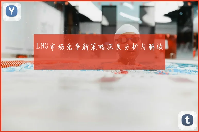 LNG市场竞争新策略深度分析与解读