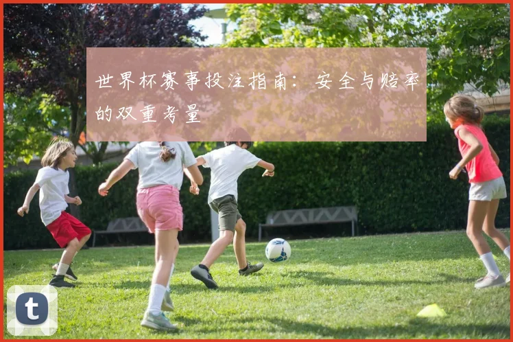 世界杯赛事投注指南：安全与赔率的双重考量