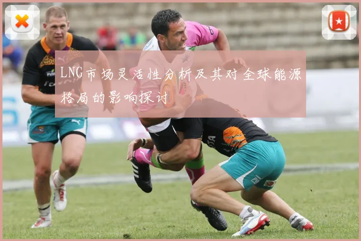 LNG市场灵活性分析及其对全球能源格局的影响探讨