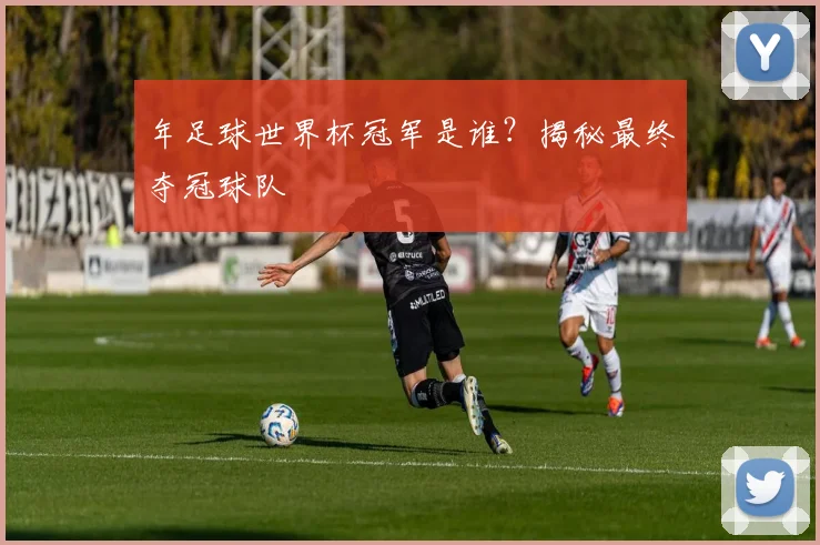 年足球世界杯冠军是谁？揭秘最终夺冠球队