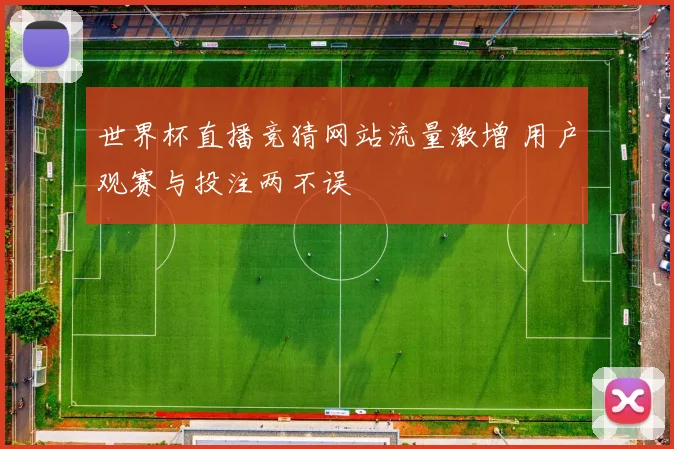 世界杯直播竞猜网站流量激增 用户观赛与投注两不误