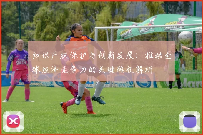 知识产权保护与创新发展：推动全球经济竞争力的关键路径解析