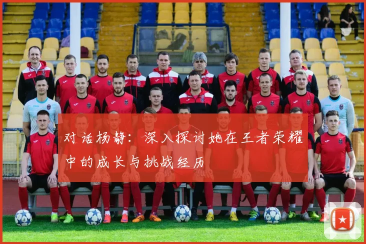 对话杨静:深入探讨她在王者荣耀中的成长与挑战经历