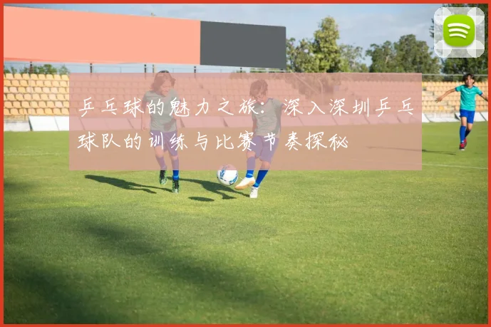 乒乓球的魅力之旅:深入深圳乒乓球队的训练与比赛节奏探秘