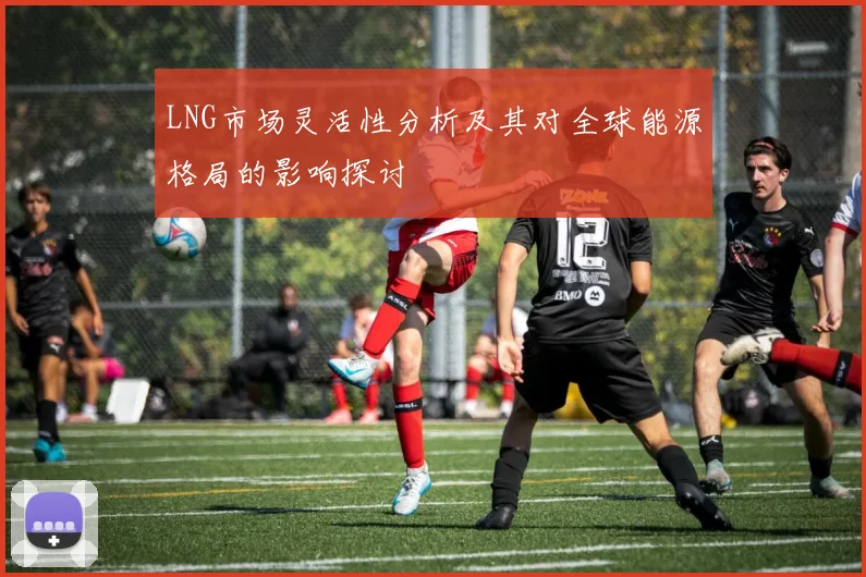 LNG市场灵活性分析及其对全球能源格局的影响探讨