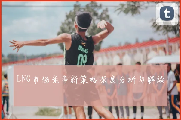 LNG市场竞争新策略深度分析与解读