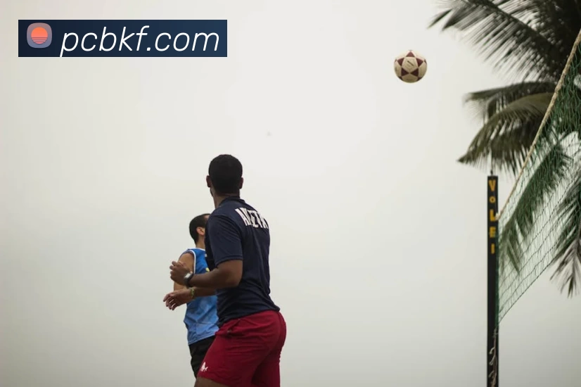 kaiyun平台生态图